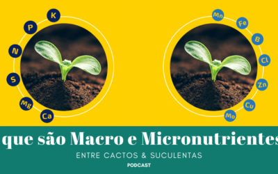 O que são Macro e Micronutrientes?